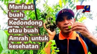 MANFAAT BUAH KEDONDONG ATAU BUAH AMRAH BAIK UNTUK KESEHATAN.