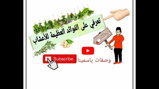 تعرف على الفوائد العظيمة للاعشاب الطبيعية  البسيطة في حياتنا واهميتها العلاجية