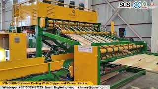 China peeling machine with automatic stacker