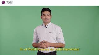 Dartel Electricidad - Portal Empresas