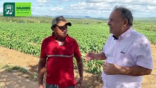 SALGADO EM FOCO: Prefeito Dr. Joni Oliveira faz visita a plantações no distrito de Dois Riachos.