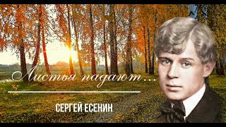 поэтическая среда.  Есенин.  Листья падают