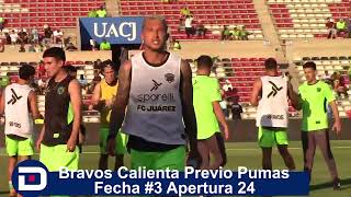 Bravos calienta vs Pumas F #3 Apertura 24