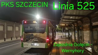 PKS Szczecin, linia 525 - Mercedes-Benz O530 FL #10779