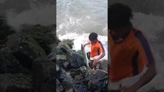 Handline fishing..!!🔥big size barracuda fish catch in kovalam sea..🔥👌💯#shorts