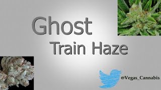 Ghost Train Haze Strain Information / Review