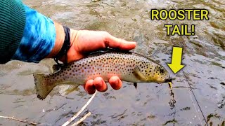 TROUT Fishing on the Yellow Breeches