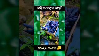 সত্যি বলতে প্রথমে কি ভেবেছেন #youtubeshorts