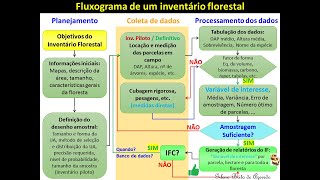 IF 04 - Fluxograma de um inventário florestal