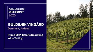 Guldbæk Vingård Primo 2021 - Wine Review - Traditional Method Sparkling Wine from Denmark, Solaris