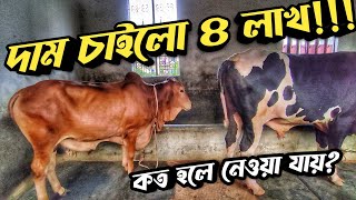 বাসার ছাদের খামারে গরু দামাদামি করলাম ||  Purbasha Agro