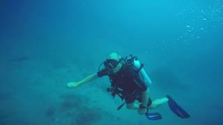 Diving in the Maldives