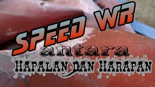 Speed W.R //antara Hapalan dan Harapan ||panjat tebing ||prestasi]