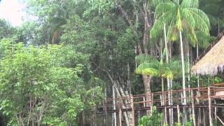 More rain in the Amazon