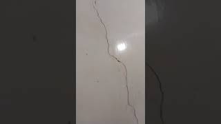 Another Wall Cracks Repair Work Update