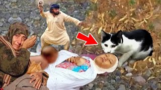 बिल्ली को मारने से पहले ये वीडियो देख लें || Billi Ko Marne Se Pehle Ye Video Zaroor Dekhen