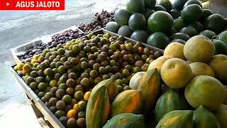 Harga Jeruk Banyuwangi Terbaru di Kios Buah Pinggir Jalan