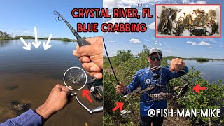 Catching BIG Florida Blue Crab!!! | Blue Crabbing Crystal River