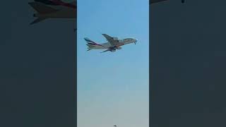 Dubai Airport emirate airlines flight ✈ Amazing view UAE, #Dubai #short #dxb #dubaivlogs #like