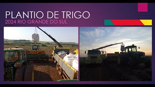 Plantio de Trigo 2024 - John Deere 6170 com Stara Prima 4590.