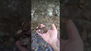 The Music of Nature: Throwing Stones in the River