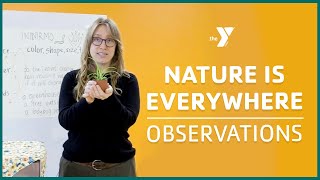 Nature Is Everywhere with Reesha: Observations - Classrooms For All