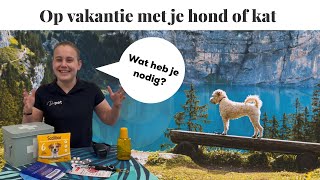 Op vakantie met je hond of kat | Wat heb je nodig?