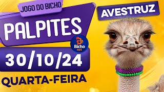 PALPITE DO DIA 30/10/2024 - JOGO DO BICHO 🍀 TODAS AS LOTERIAS 🍀