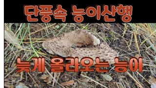 조카와 능이산행 ,가을산은 너무 아름답습니다