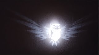 OWL on wall with light wings - LED decoration lamp - 3D printed - Nástěnná svítící sova