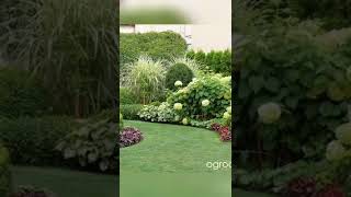 Jardim ornamental#jardim #yutubeshorts #viral #plantas #jardineiro