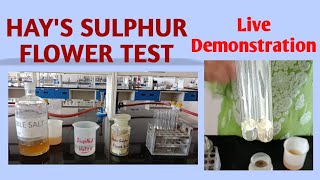 Hay's sulphur test || Tests for bile salts || Bile salts in urine || #Biochemistry