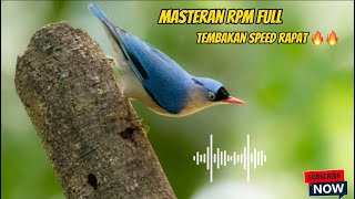 MASTERAN RPM FULL TEMBAKAN SPEED RAPAT 🔥🔥#rambatanparuhmerah #trotolmuraibatu #muraibatu