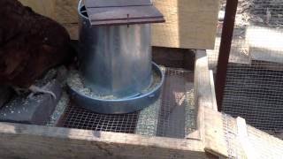 DIY ZERO-WASTE GRAVITY CHICKEN FEEDER!!!