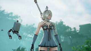 2B Kaine vs Setsuka