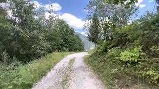 2 minutes of mindfulness walking on a forest road