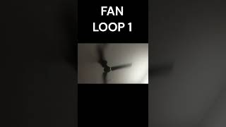 Fan Loop 1