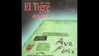 09 - Valona De Los Norteados - Grupo El Tigre de la UANL