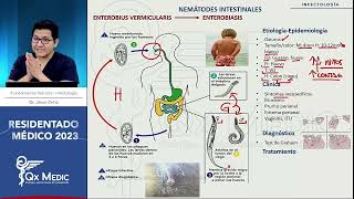 PARASITOLOGIA- NEMÁTODES