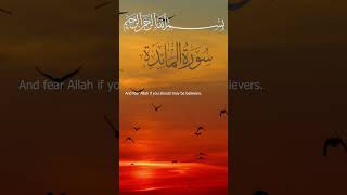 Surah Al-Ma'idah Mishary bin Rashid Alafasy I Ayah 57-58