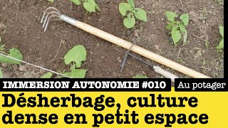 Immersion Autonomie : désherbage, mauvaises herbes et cultures denses sur petit espace