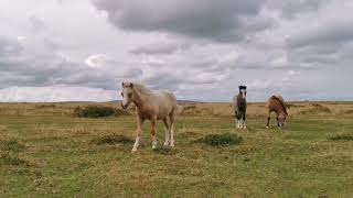 Offa's Dyke Hay on Wye to Kington 2021-09-12