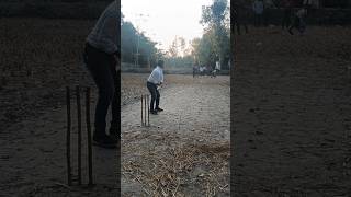 Run Out. cricket match. Village cricket match. Playing cricket match in village.