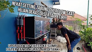 Hampir Kena!!! UPgrade Sistem Filtrasi Dari Topfilter Ke SumpFlilter Tank predator 150x60x60 Tangsel