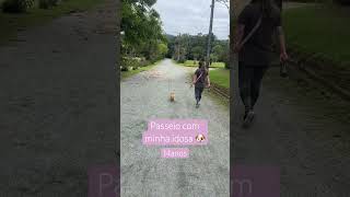 Passeio com a Princesa