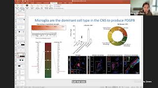 Neuro Zoom (11/28/2022) – Cheen Euong Ang (Harvard University) and Peng Shi (Zhejiang University)