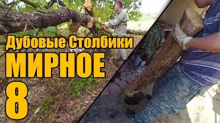 Мирное 8 - Дубовые Столбики