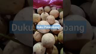 Duku Palembang #duku #buahduku #shorts