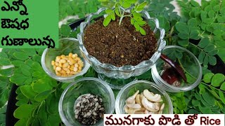 ఎన్నో ఔషధ గుణాలున్న మునగాకు పొడి తో అన్నం HealthyDrumstick leaves Powder rice /Munagaku rice recipe