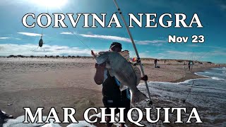 Pesca de corvina negra en Mar Chiquita.